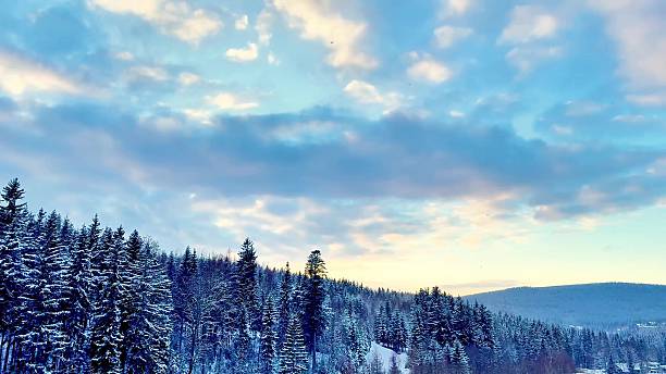 istock A Serene Winter Landscape Featuring Snowy Trees and Beautiful, Fluffy Clouds Above 2213239265
