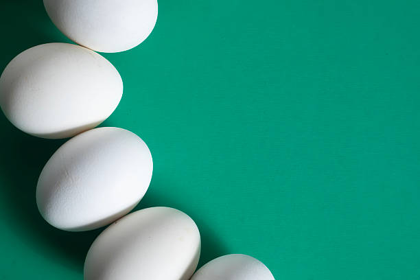 istock White eggs arranged on a green background with copy space for text 2213239685