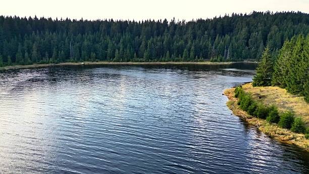istock A Serene and Peaceful Reflection on a Tranquil Lake, Nestled Amongst a Lush Green Forest 2213242109
