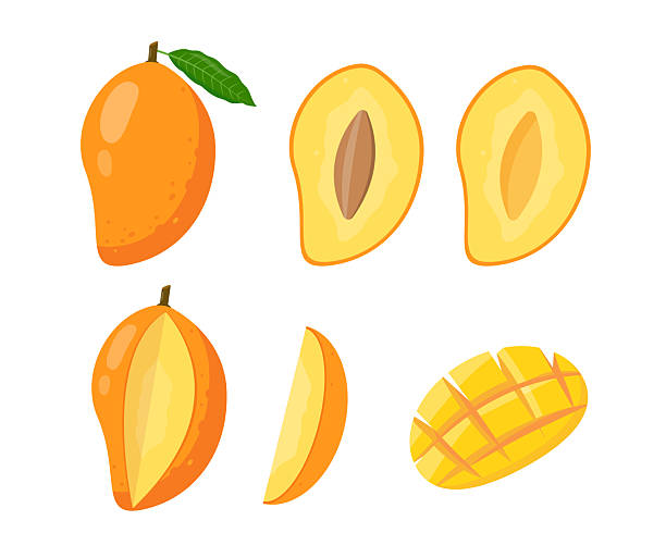 istock Set of fresh Mango fruit icons. Whole and half cut mango and pieces. Tropical fruits for juice, smoothie or vitamin healthy food. 2213245896