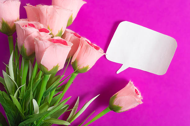 Beautiful pink roses with white paper card on color background