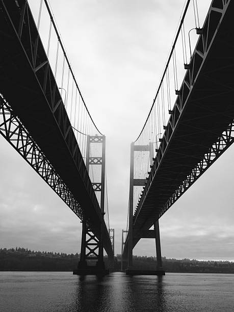istock Beneath the Tacoma Narrows Bridge 2213248241