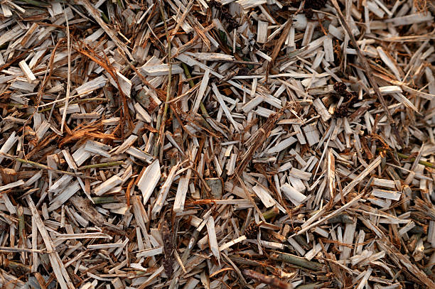 Woodchips top view. Pieces of wood. Wood, that has been chipped.