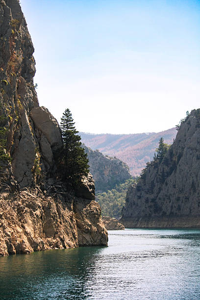 istock rock cliffs with pine trees above the lake 2213253270