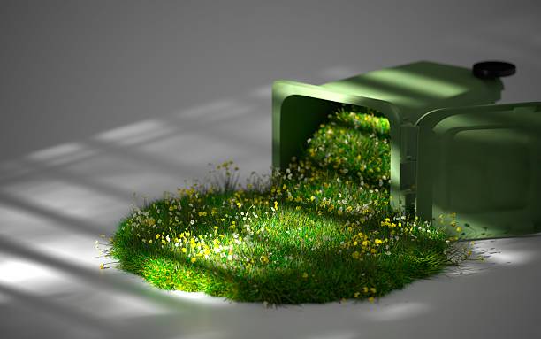 Sustainable Environment Social Responsible Business Company
