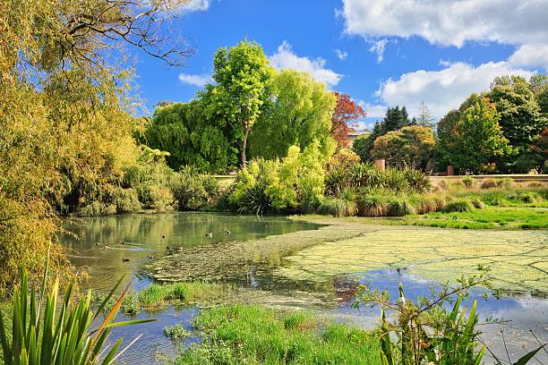 istock Bason Botanic Gardens Pond Autumn 2213272407