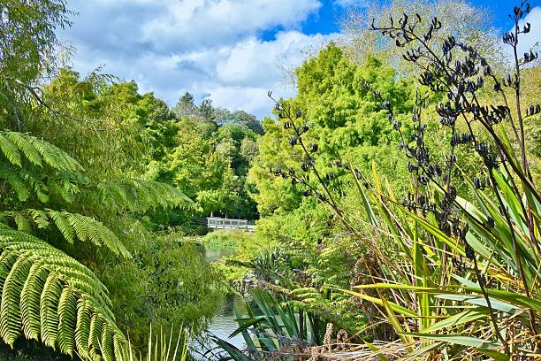 istock Bason Botanic Gardens Pond Native Plants 2213272416