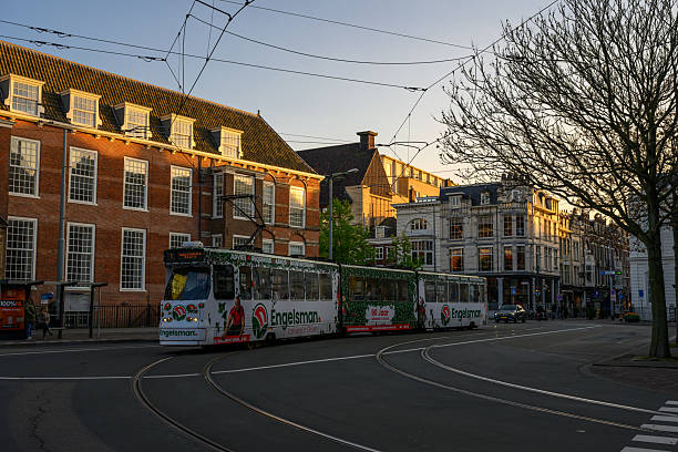 Public transport trams are in motion on the tracks.