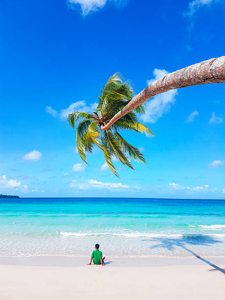 A tropical paradise with clear turquoise waters, white sandy beaches, and vibrant palm trees under the sun