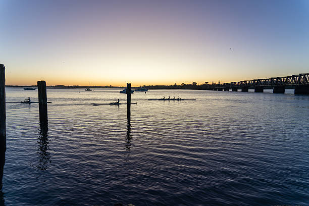 Old mooring posts in Tauranga harbour in pre-dawn light.as rowers pass in silhouette.