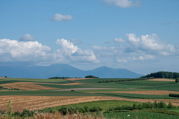 Hilly areas and mountain ranges in summer, Tokachidake mountain range