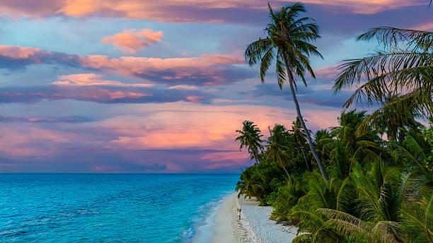 istock Banner Summer with evening scene as palm trees  with white sand beach background 2213297881