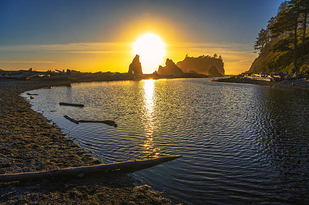 Colorful sunset reflects on the water at Ruby Beach, with sea stacks and driftwood along the shore in Olympic National Park, Washington state, USA