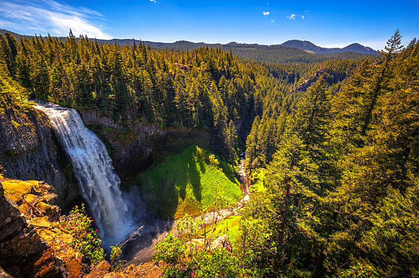 istock Salt Creek Falls in Oregon Cascade Range, USA 2213300148