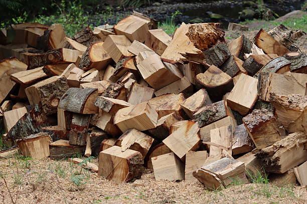 istock Stack of newly cut firewood drying in the open air 2213304619