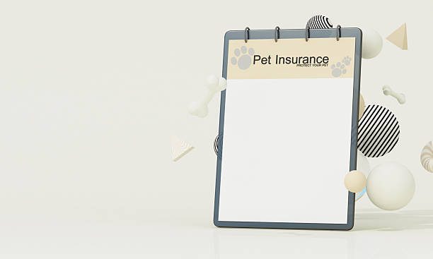 istock Soft pastel pet insurance theme with floating 3D elements, minimal clipboard, and calm layout for safe, gentle care. 3d rendering. 2213305249