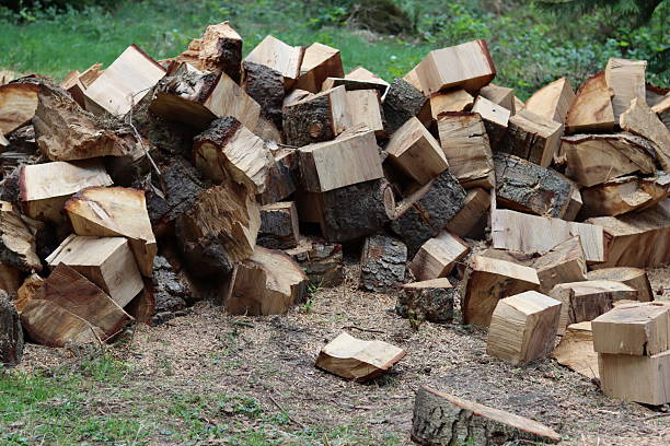 istock Stack of newly cut firewood drying in the open air 2213305272