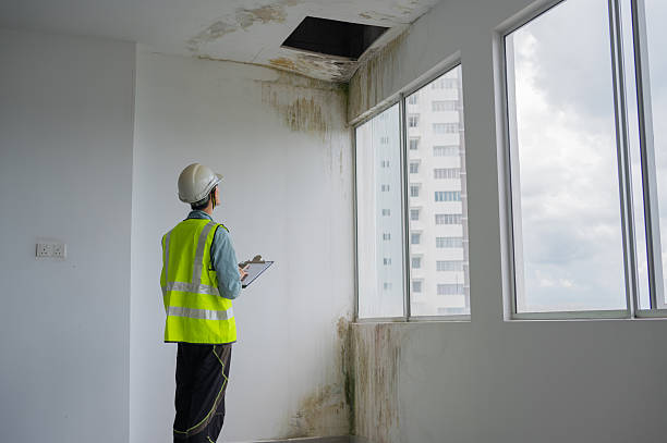 Asian Chinese female inspector hand touching the water leaking defect wall to check any moisture stock photo