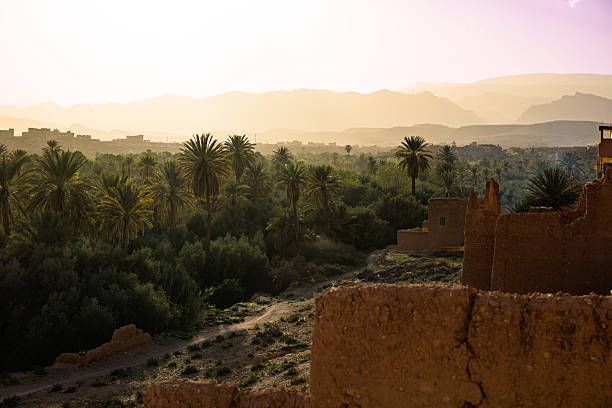 Lush green oasis with palm trees and ancient ruins at sunset near Tinghir, Morocco