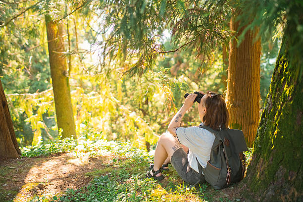 istock Young woman with binoculars travelling in nature, bird watching 2213320630