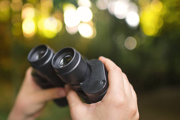 Black binoculars on background. Flat lay, top view