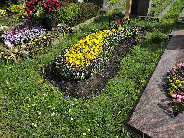 istock Fresh grave decorated with colorful pansies, without a border. 2213326641