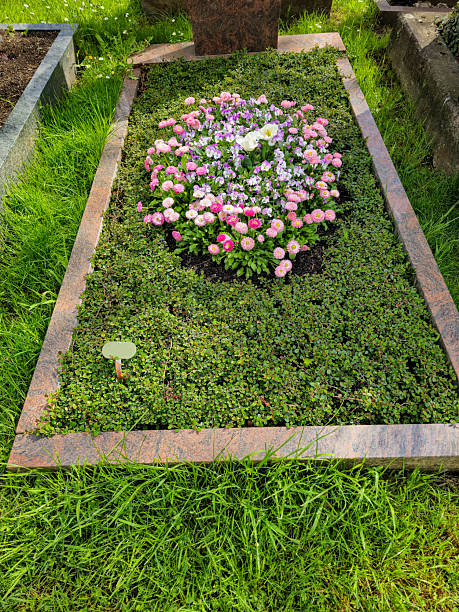 istock Grave decorated with colorful pansies and granite border. 2213326643