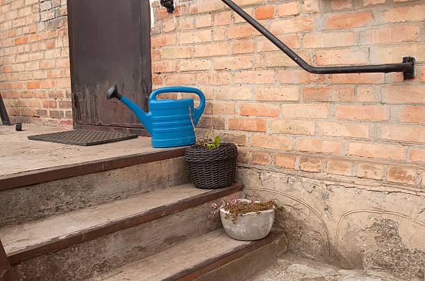 A blue watering can and potted plants adorn the exterior steps leading to a brick building's door. The scene captures a touch of rustic charm.
