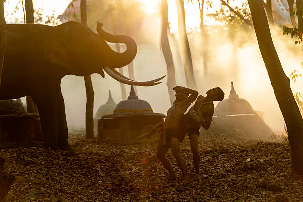 Cinematic scene of traditional Muay Thai warriors sparring in front of elephant in rural Thailand