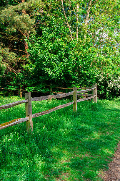 Split rail wooden fence bordering a field of grass and wildflowers, separating it from a dense forest, in springtime