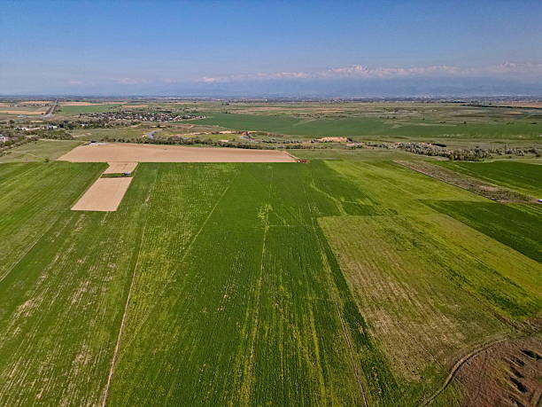 istock Large fields of crops and grazing animals. 2213336883