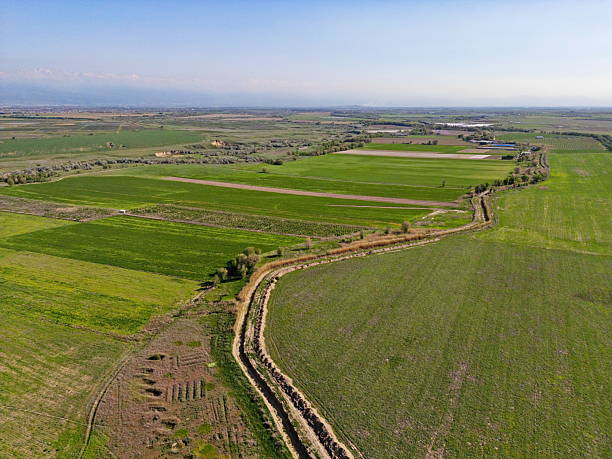 istock Large fields of crops and grazing animals. 2213336946