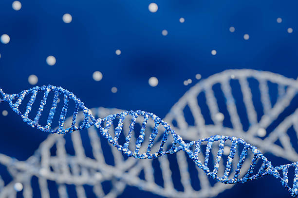 istock DNA Abstract 3d polygonal DNA molecule chemistry biology or gene cell concept blur background 3D render 2213337987