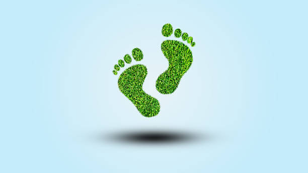 istock Green Grass Footprints on a white background. 3d Rendering. Ecology concept. 2213341681