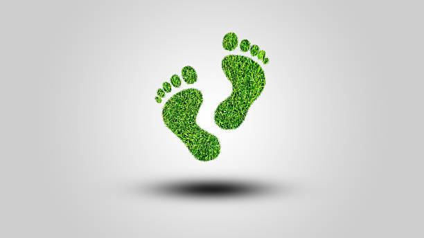 Creative eco, environmental care, earth day concept. Barefoot footprint made of natural green moss and butterfly on blue background. Planet vs. Plastics , Earth day 2025, 2026 concept 3d tree background. A bottle of water with a green forest inside, the idea is to recycle old plastic bottles, think green.