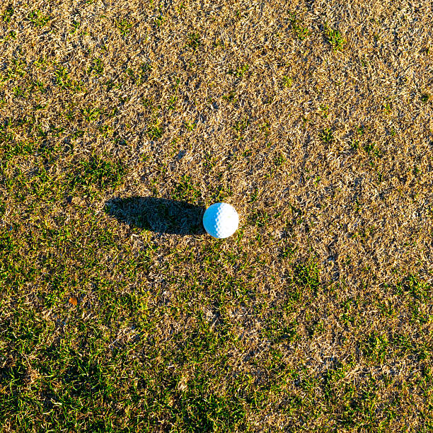 A golf ball sitting on green grass in a field.