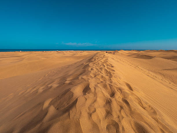 istock Dunes of Maspalomas, Grand Canary, in summer 2213353452