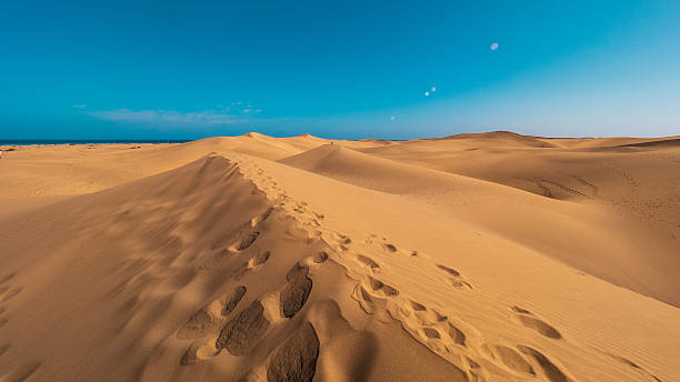 istock Dunes of Maspalomas, Grand Canary, in summer 2213353455