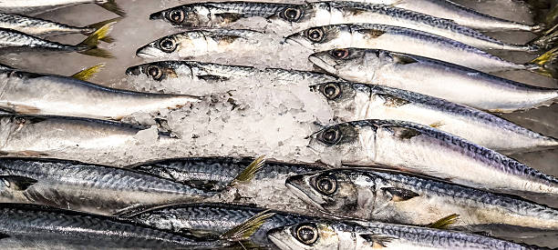 istock Fresh fish on ice in a restaurant ready to cook 2213354965