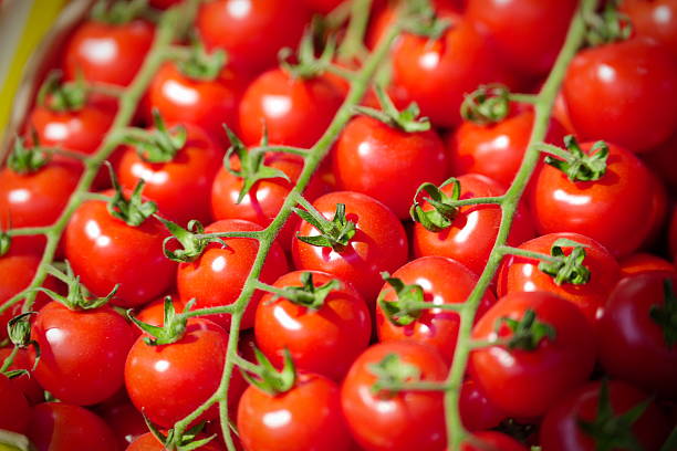 istock farmers' market 2213355731