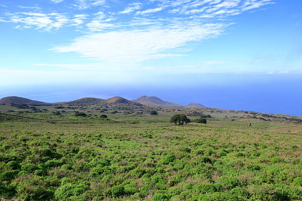 istock landscape around El Sabinar, El Hierro, Canary Islands, Spain 2213360828