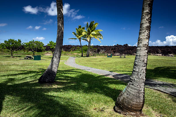 Isaac Hale Park, also known as Isaac Hale Beach Park, is near the eastern tip of the Big Island of Hawaii and near the town of Pahoa.  It was nearly destroyed by a the lava flow from the 2018 volcano eruption and this image shows how close the lava came to totally consuming the park.