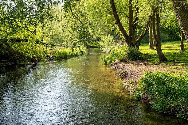istock Chalk stream flowing through the countryside 2213364606