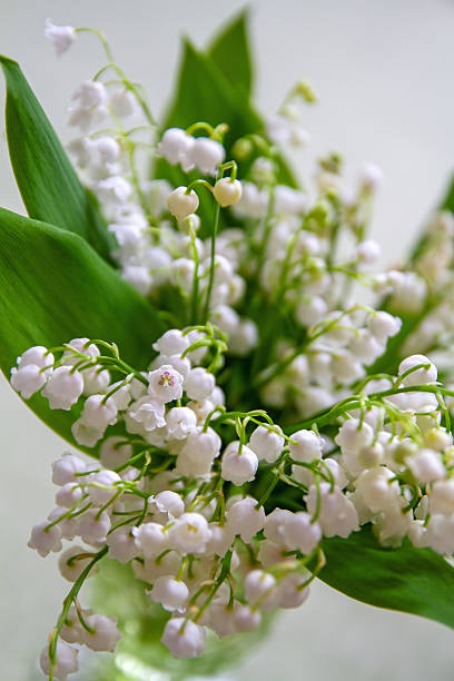 istock Vase with Lily of the Valley 2213365058