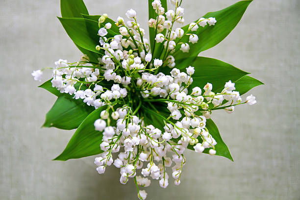 istock Vase with Lily of the Valley 2213365075