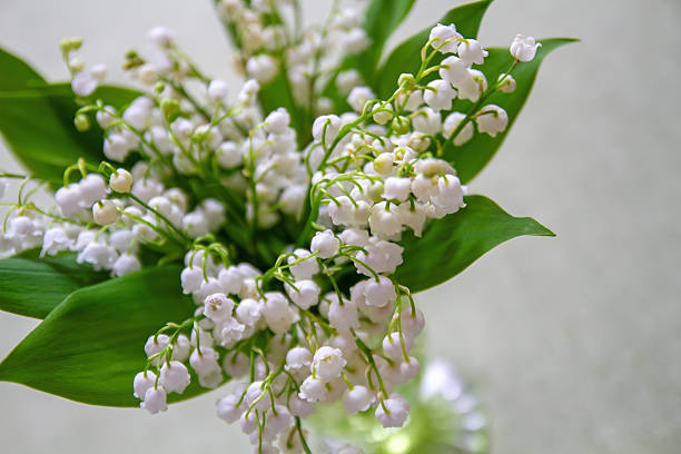 istock Vase with Lily of the Valley 2213365077