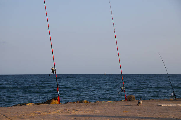 istock Fishing with several rods on the seashore. Close-up 2213367691