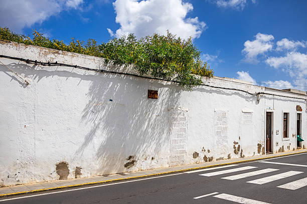 Haria, Lanzarote, Canary Islands, Spain - March 13th 2025: The image shows a white house with a long wall that runs parallel to a street with a pedestrian crossing. The wall has patches of peeling paint and some areas of discoloration near the bottom. Above the wall, a lush green plant is growing over the edge, casting shadows on the wall. The sky is bright blue with scattered white clouds, adding to the overall vibrant and sunny atmosphere of the scene. The image captures the contrast between the stark white wall and the greenery, highlighting the natural beauty and the wear and tear of the urban environment.