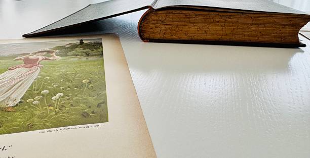 istock In a library, Working with a book from 1892 2213378359