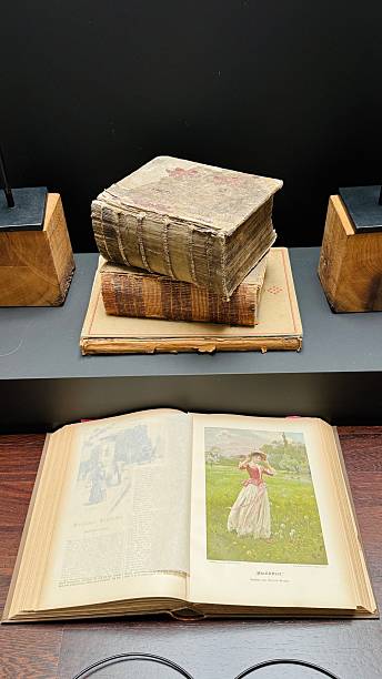 istock In a library, Working with a book from 1892 2213378444